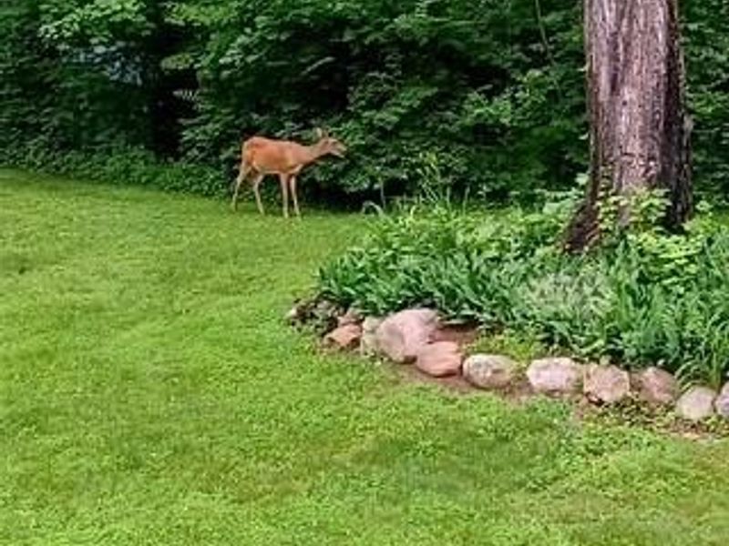 9897 Pleasant Valley Road, Somerville, OH 45064 Photo 41