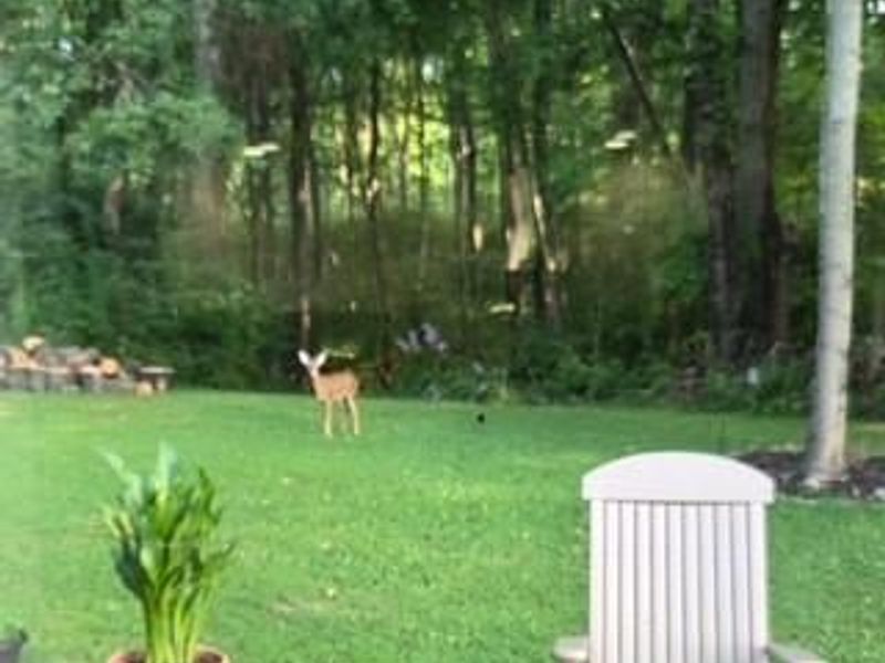 9897 Pleasant Valley Road, Somerville, OH 45064 Photo 44