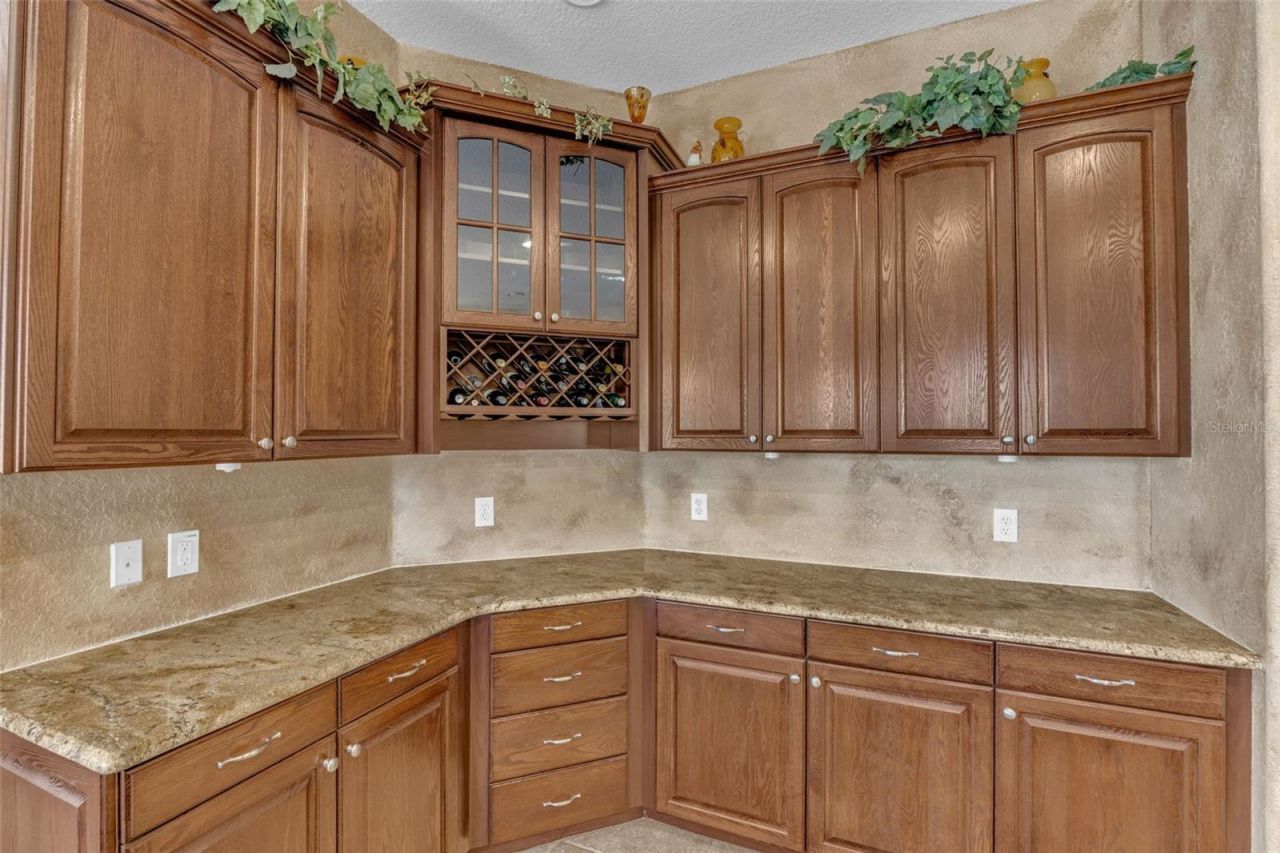 13101 Shadow Run Boulevard , Riverview, FL 33569 Photo