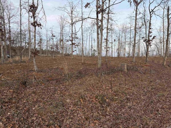 000 BURGOS Lane, Hot Springs Village, AR 71909