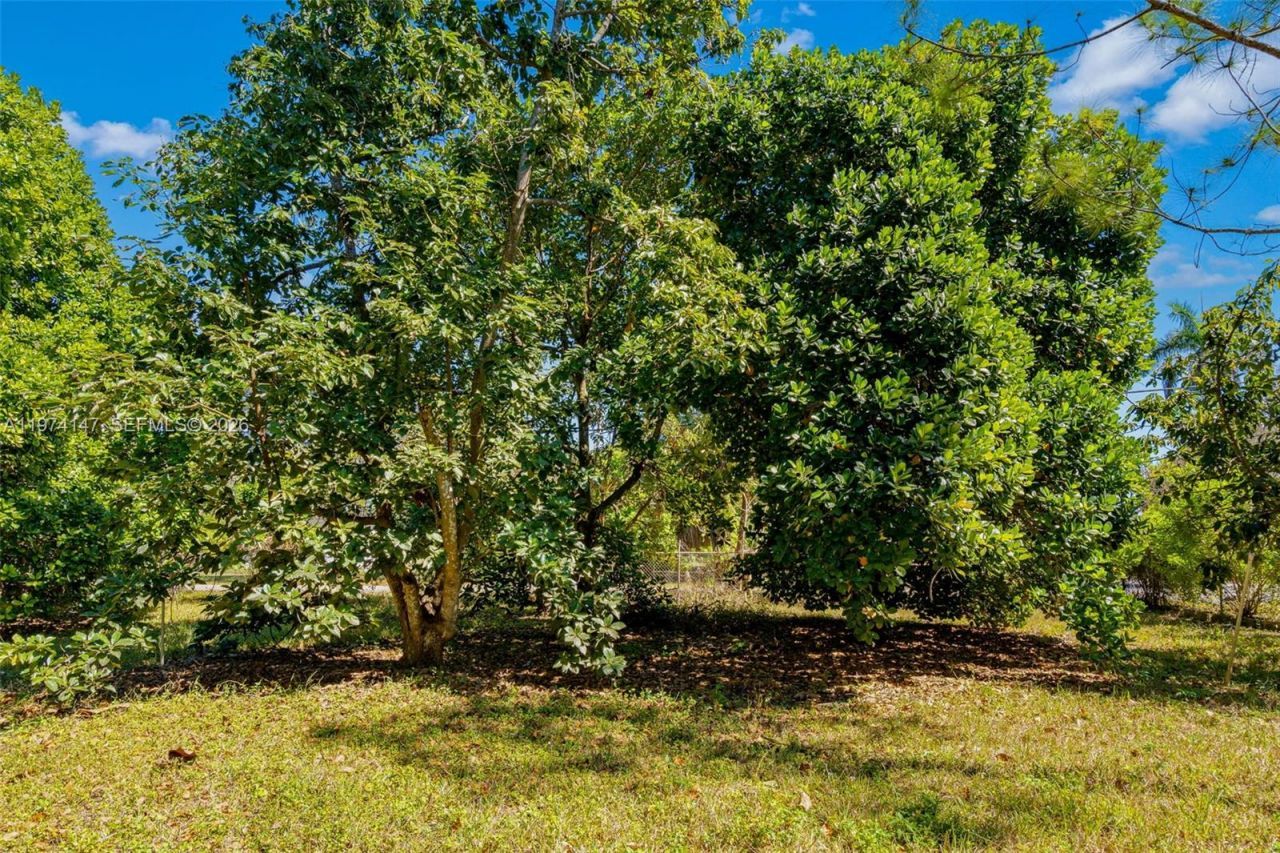 19401 SW 264th St, Homestead, FL 33031 Photo