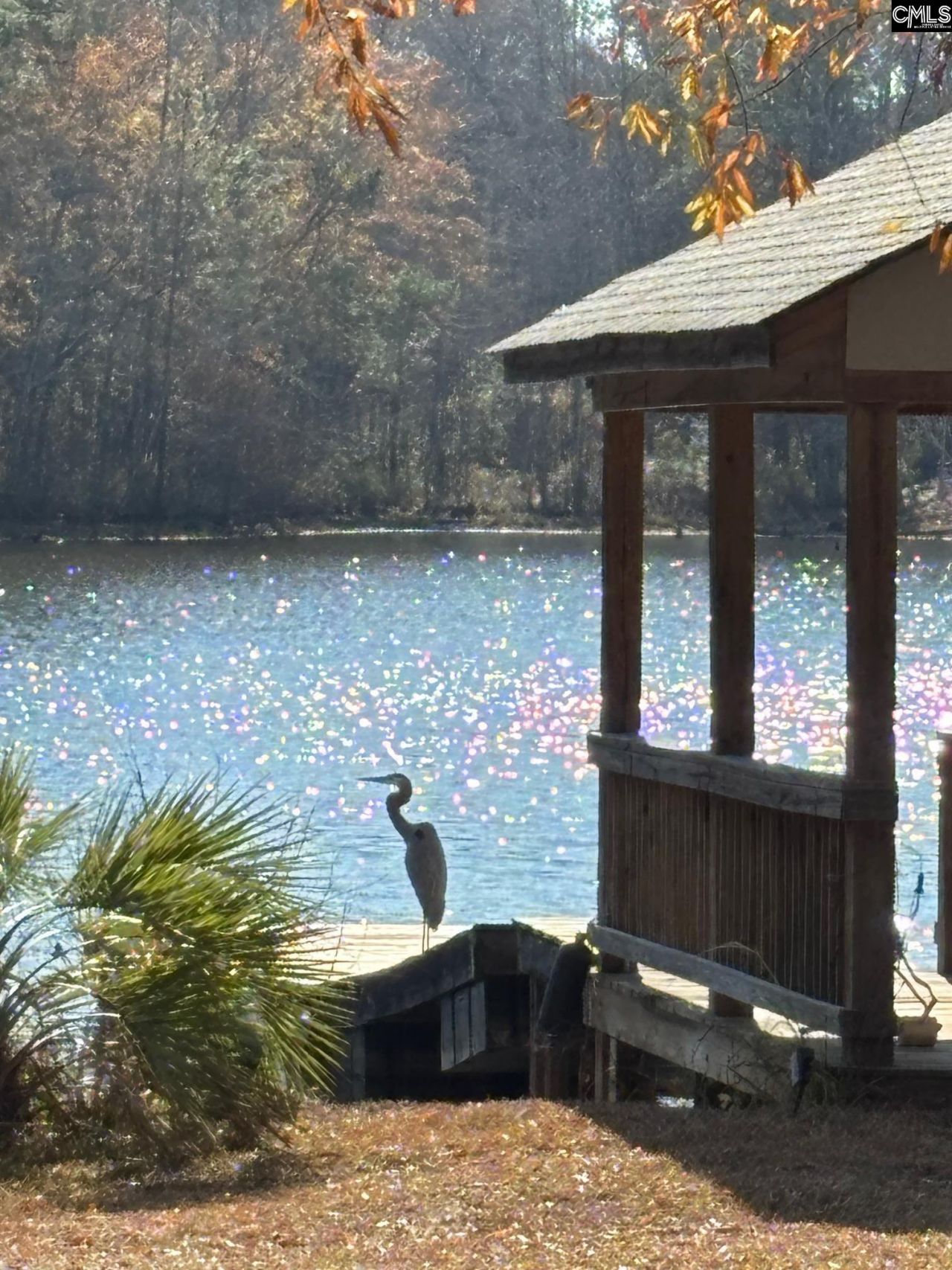 202 Columbia Club Drive E Photo 43