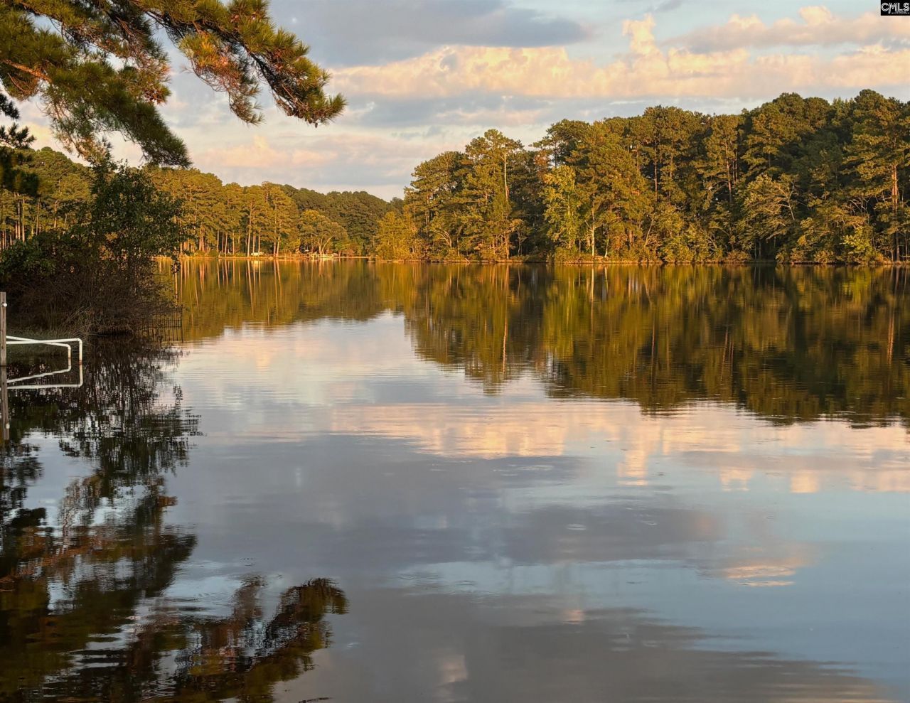 202 Columbia Club Drive E Photo 47