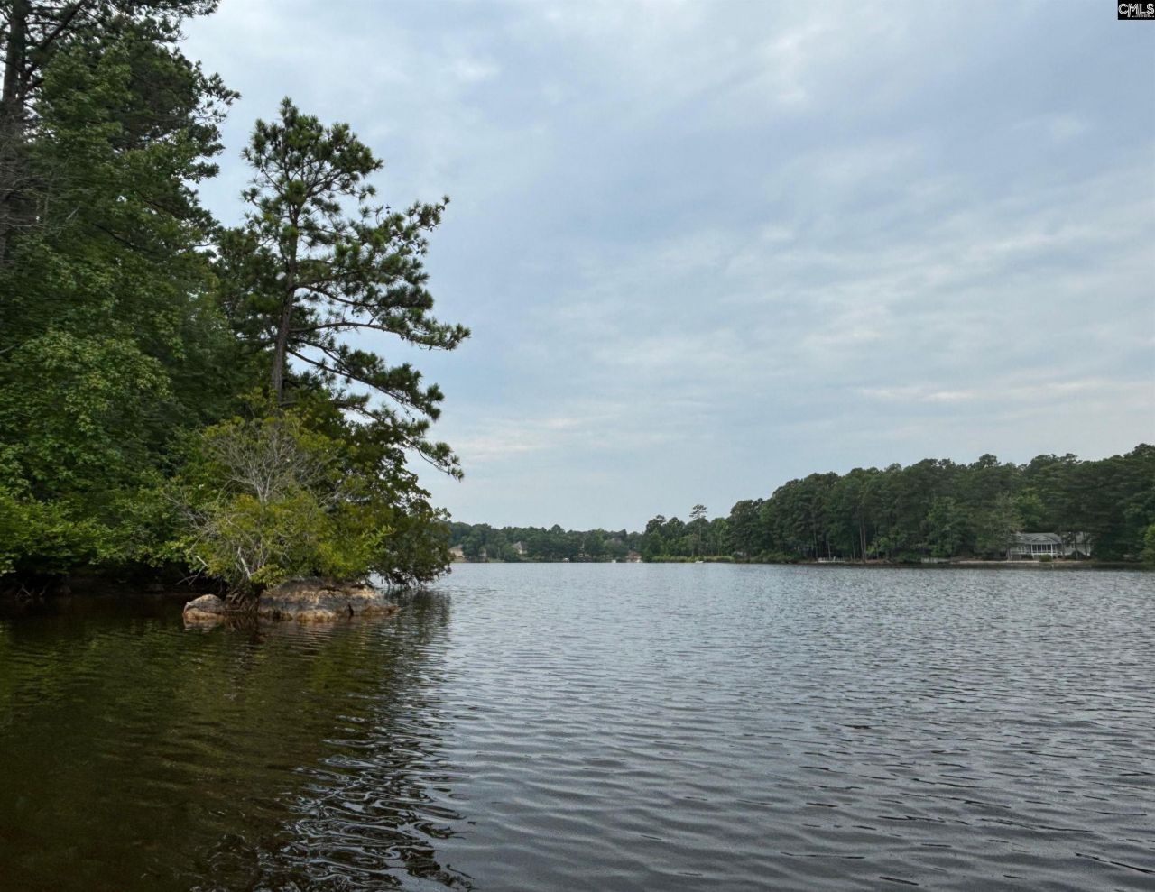 202 Columbia Club Drive E Photo 49