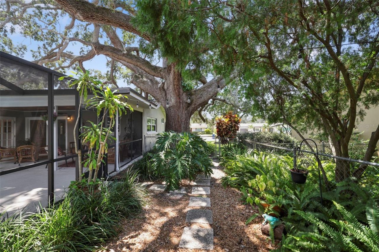 2353 Demaret Drive , Dunedin, FL 34698 Photo