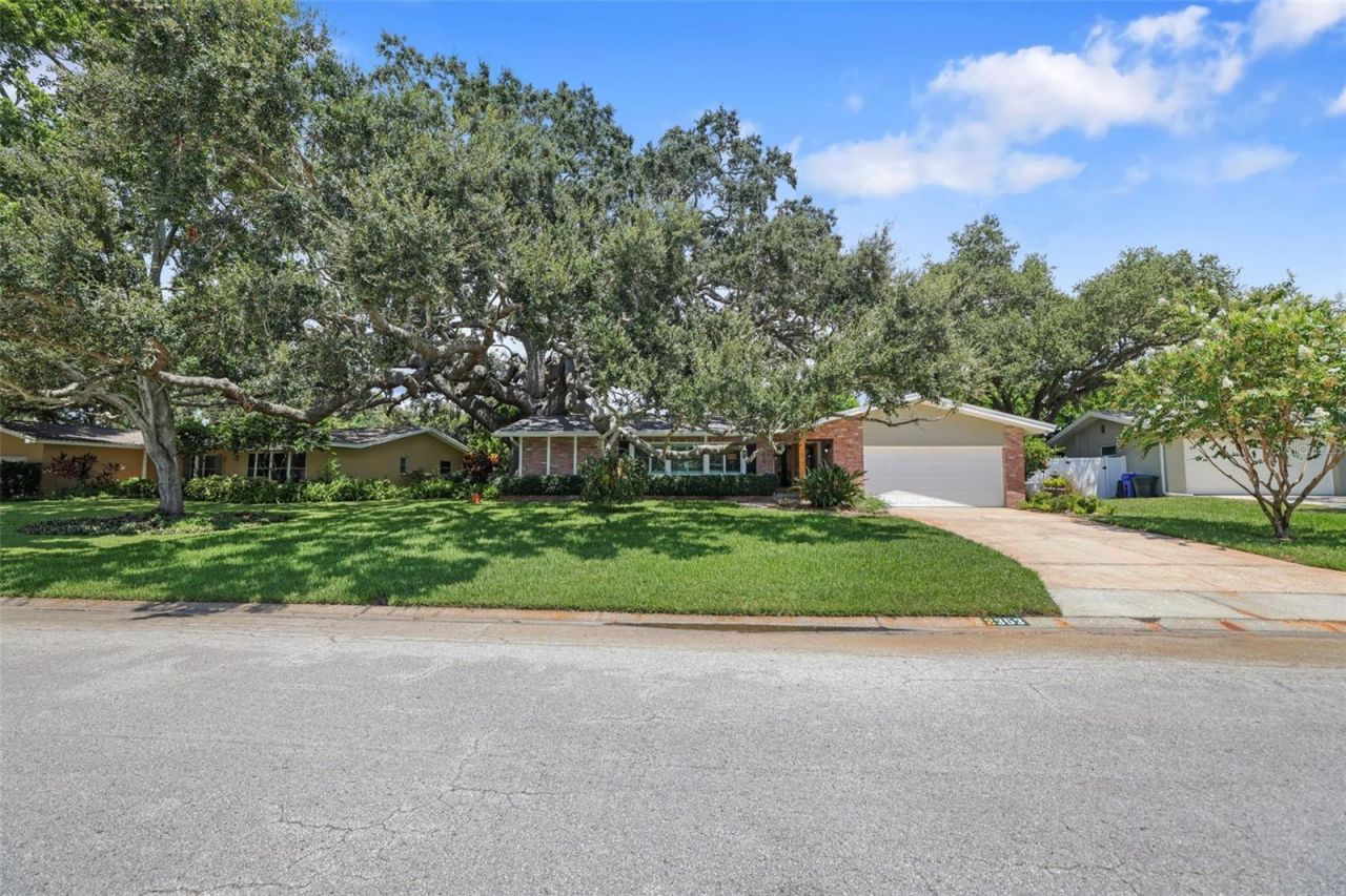 2353 Demaret Drive , Dunedin, FL 34698 Photo