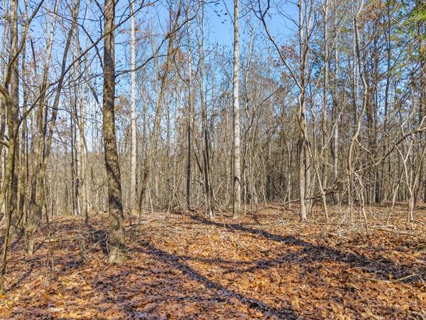 0 Ware Farms Road, Spring City, TN 37381