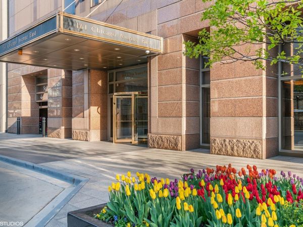 161 E CHICAGO Avenue , Unit 33DE, Chicago, IL 60611