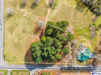 1.47 Acres Bingham Ave, Olanta, SC 29114