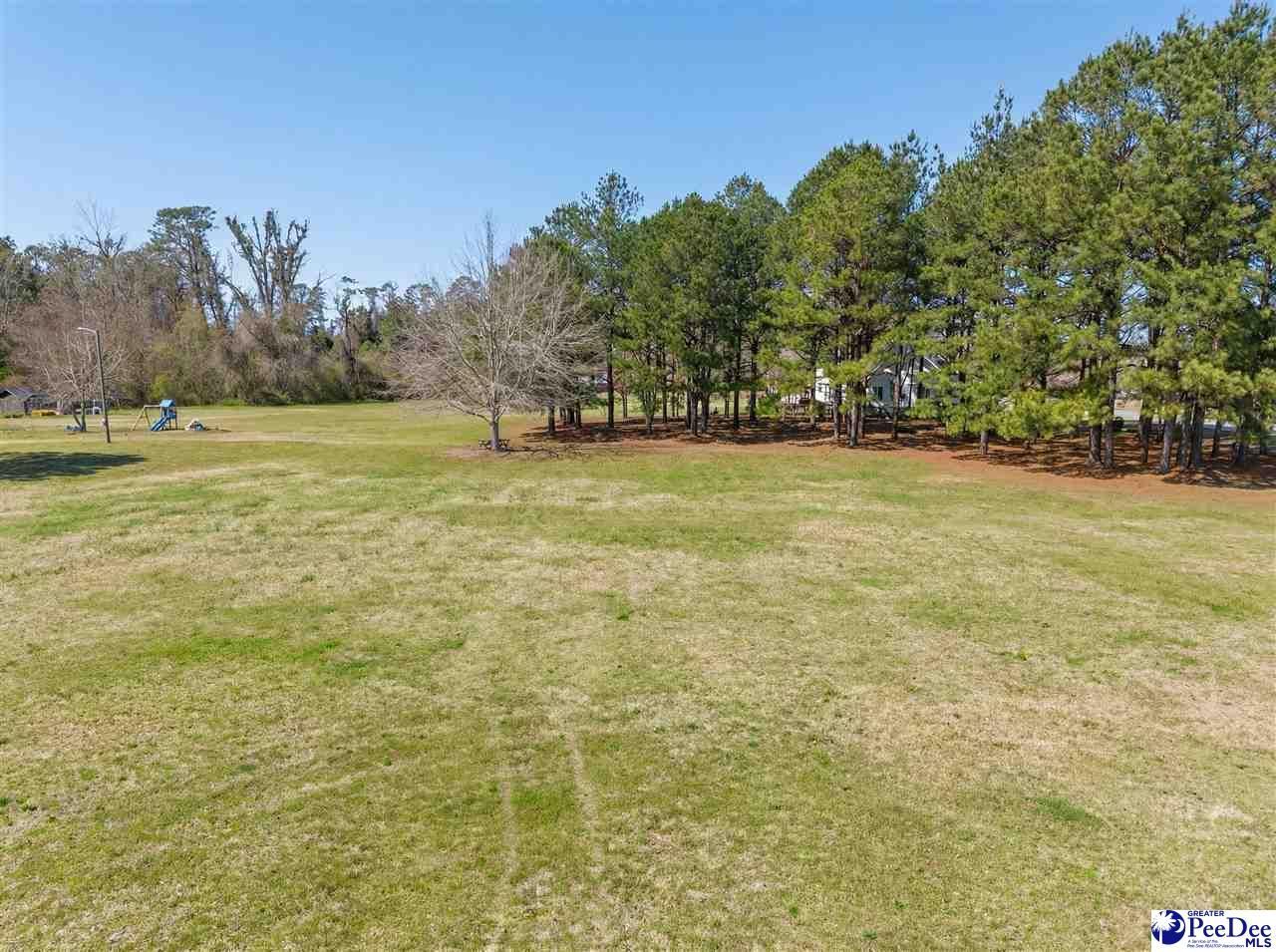 1.47 Acres Bingham Ave Photo 10