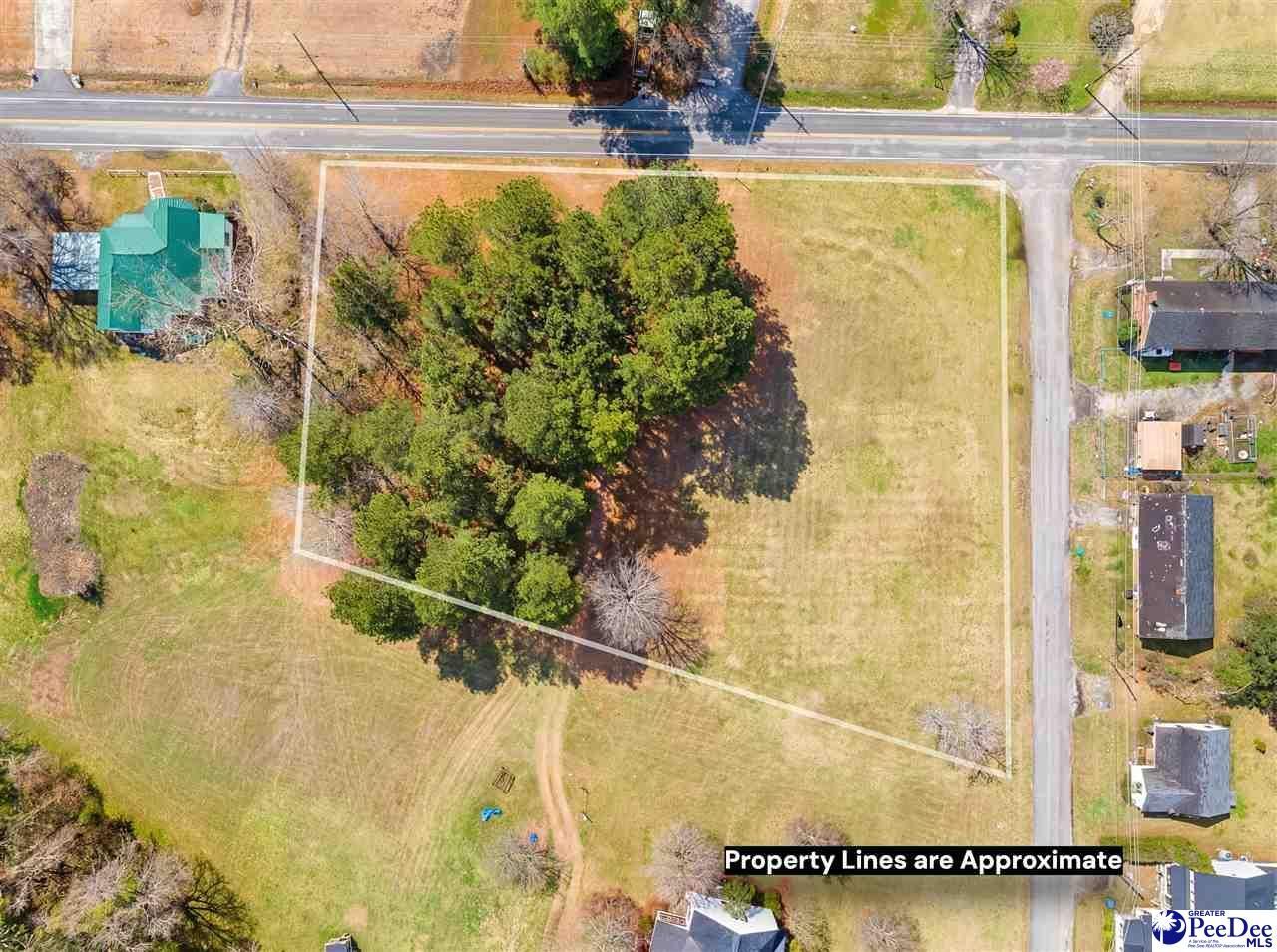 1.47 Acres Bingham Ave Photo 4