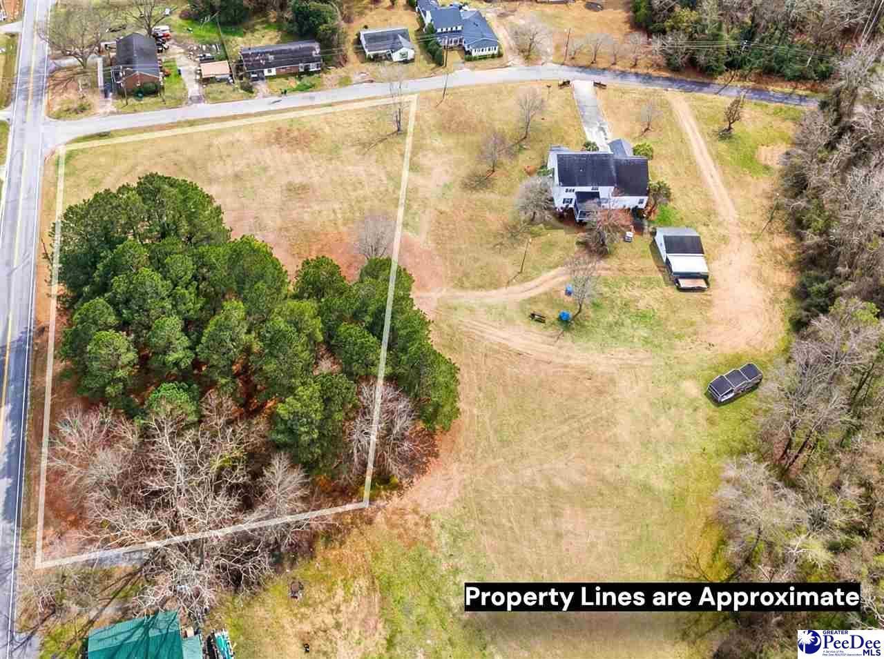 1.47 Acres Bingham Ave Photo 8