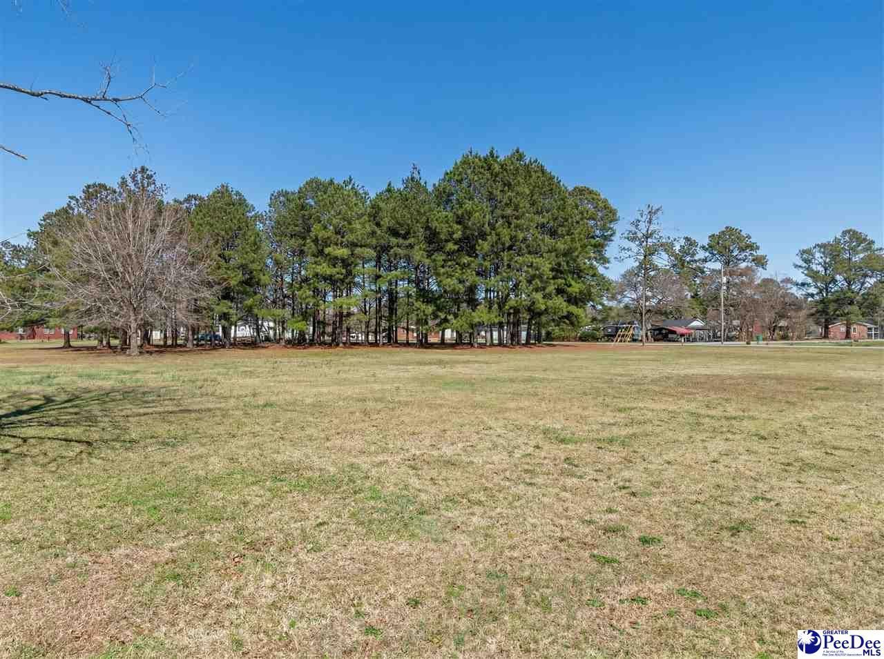 1.47 Acres Bingham Ave Photo 9