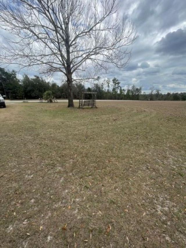 14304 SW Cr 275 Road , Blountstown, FL 00000 Photo