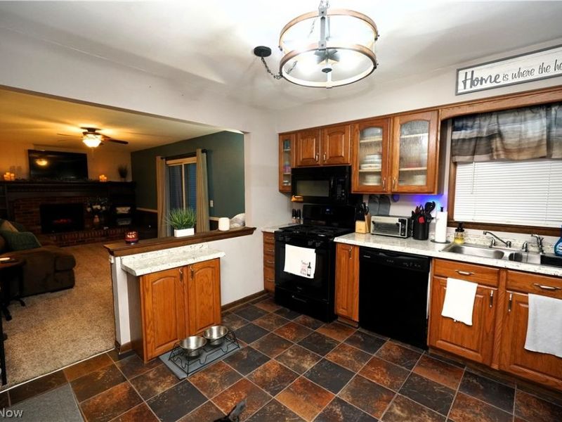 223 Naples Drive , Elyria, OH 44035 Photo 4