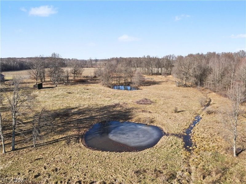 4530 W Middletown Road, Canfield, OH 44406 Photo 39