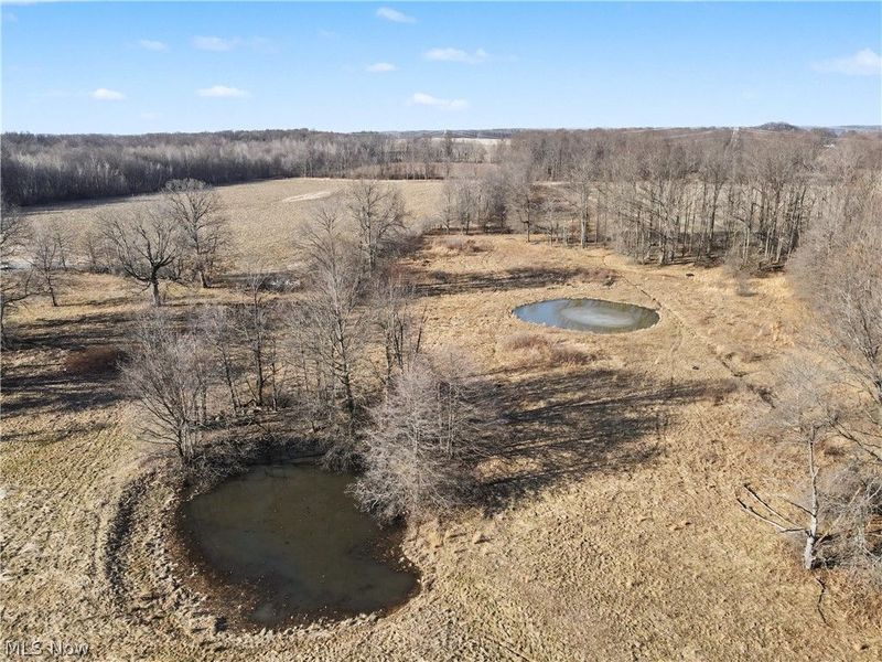 4530 W Middletown Road, Canfield, OH 44406 Photo 40