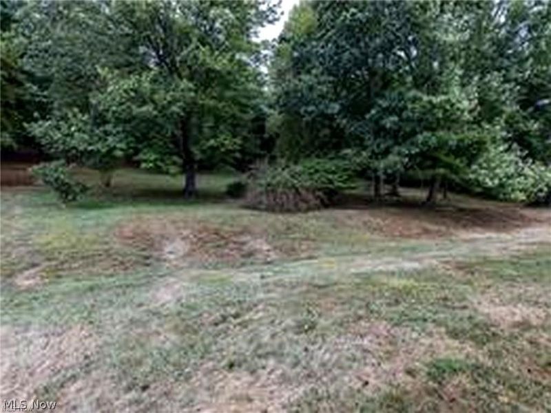 1715 Brandon Drive , Wellsville, OH 43968 Photo 34