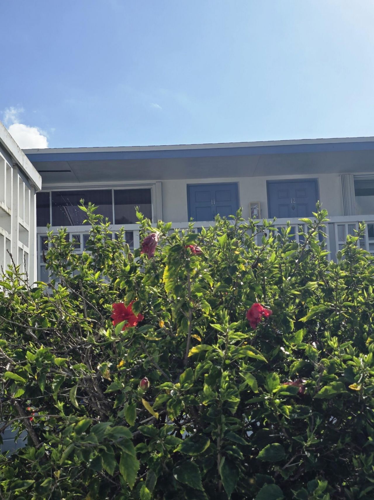 1950 Lake Osborne Drive, Unit 12, Lake Worth Beach, FL 33461 Photo