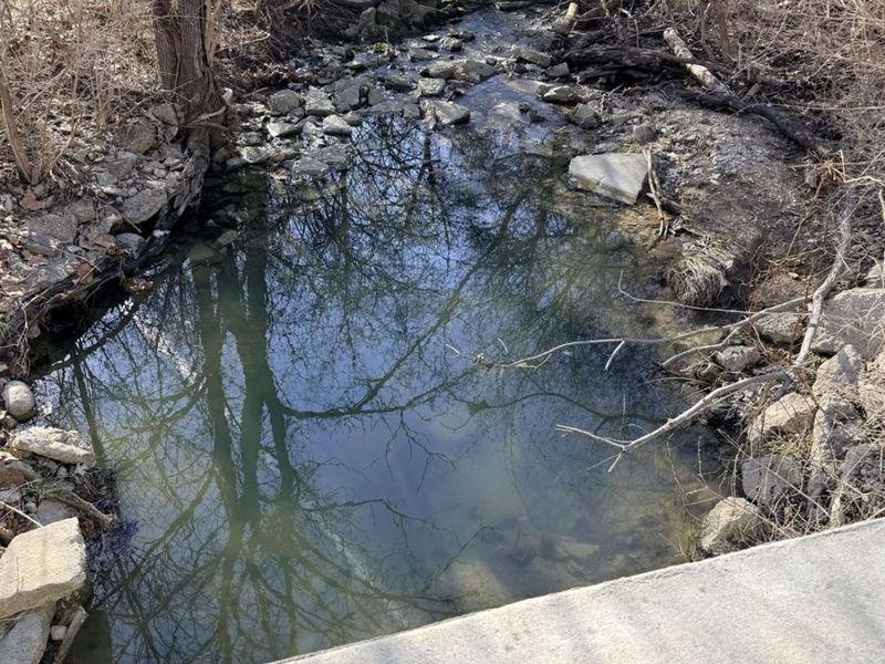 4179 Somerville, Milford Twp, OH 45064 Photo 11