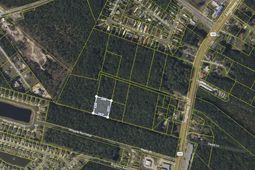 Tbd Highway 707  photo 4