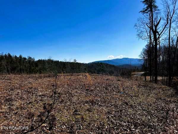 107/125 Chestnut Mountain Rd, Reliance, TN 37369