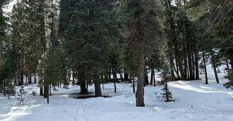 12400 Rainbow Drive, Truckee, CA 96161 Photo