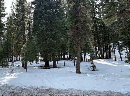 12400 Rainbow Drive, Truckee, CA 96161 Photo