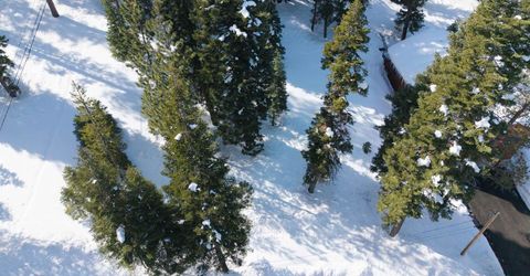 12400 Rainbow Drive, Truckee, CA 96161 Photo