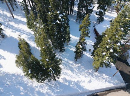 12400 Rainbow Drive, Truckee, CA 96161 Photo