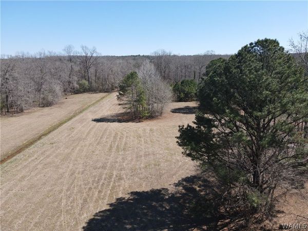 12287 PATTON PLACE Spur, Coker, AL 35452