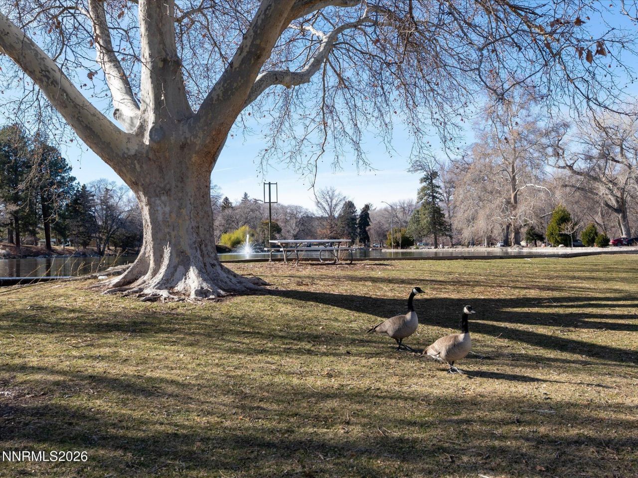 1164 Mayflower Drive, Reno, NV 89509 Photo