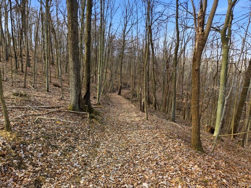 0 BIS Road SW, Lancaster, OH 43130 Photo 30