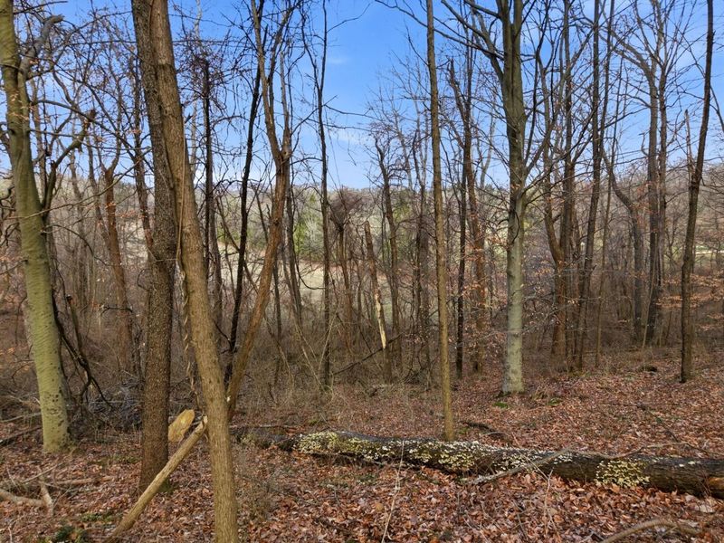 0 BIS Road SW, Lancaster, OH 43130 Photo 32