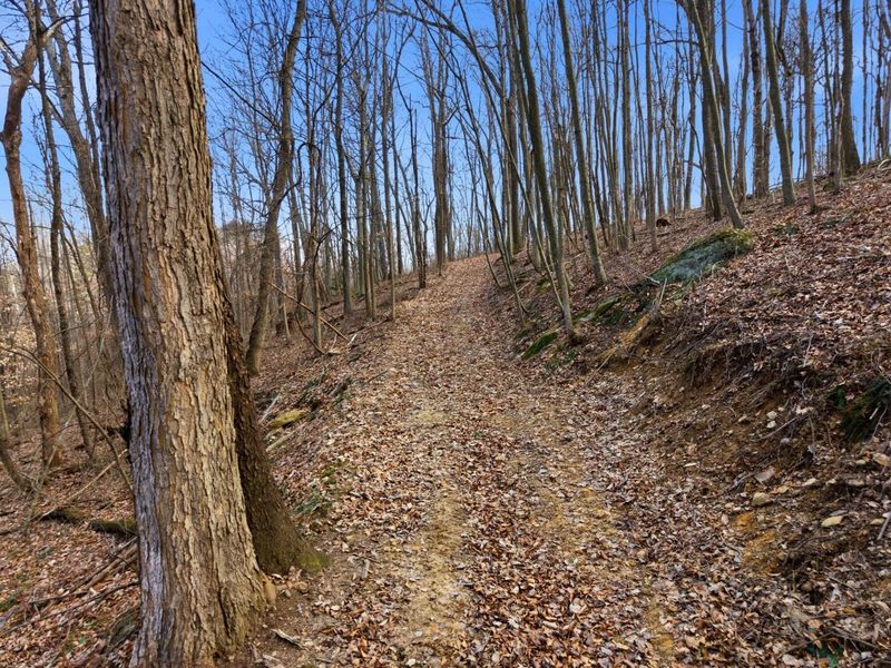 0 BIS Road SW, Lancaster, OH 43130 Photo 33