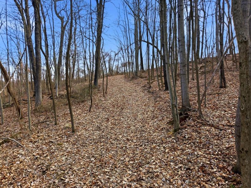 0 BIS Road SW, Lancaster, OH 43130 Photo 34