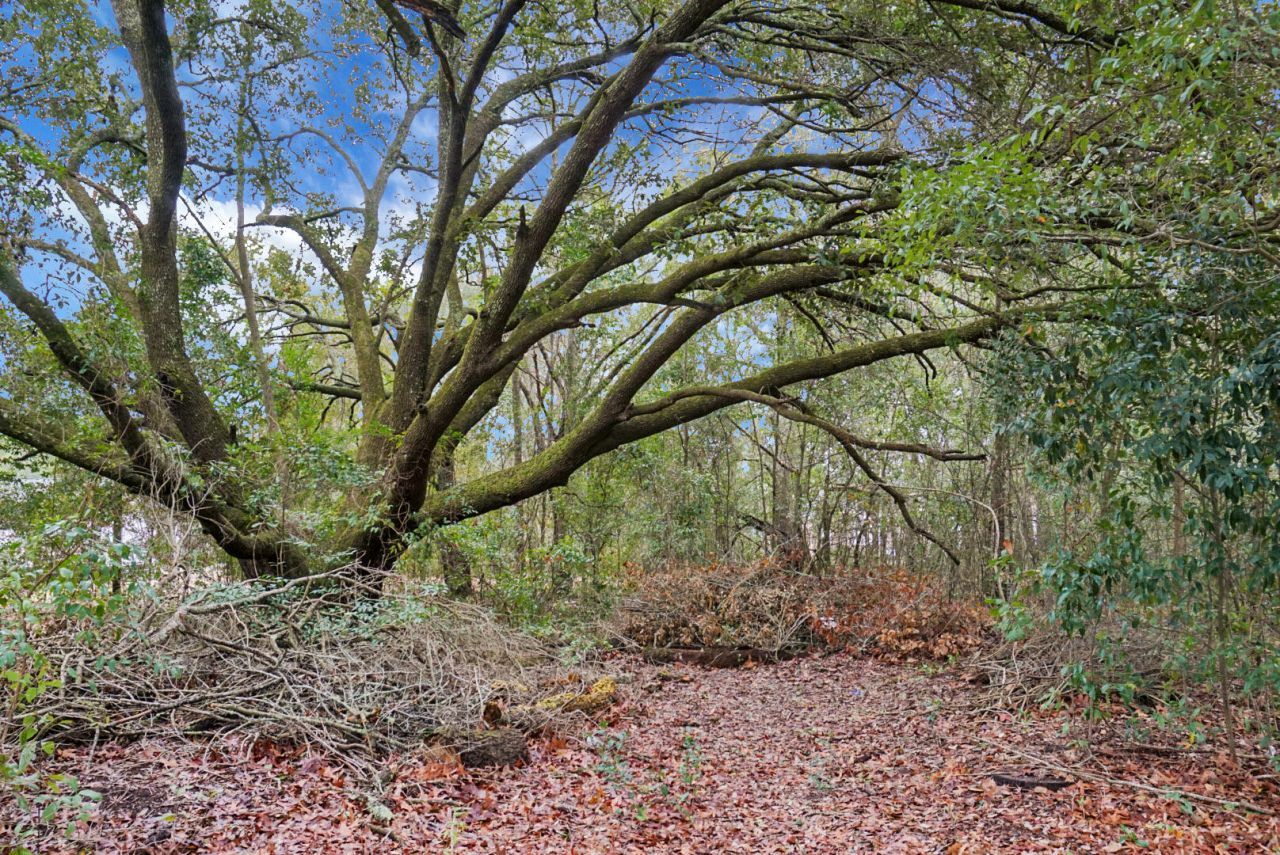 429 Sandhill Road Photo 4