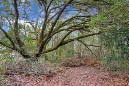 429 Sandhill Road photo 4