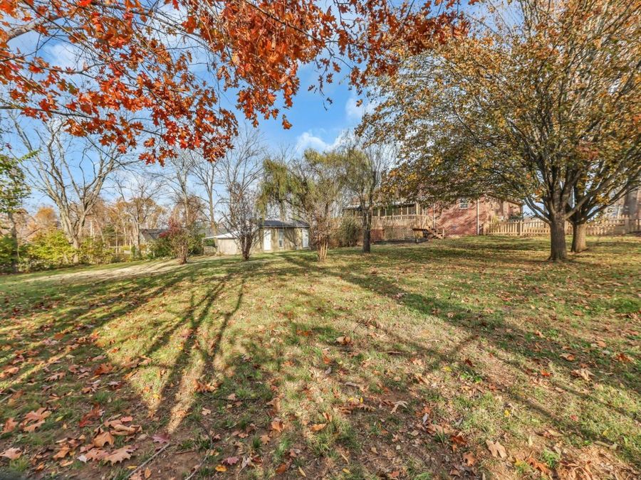 Property Image 59