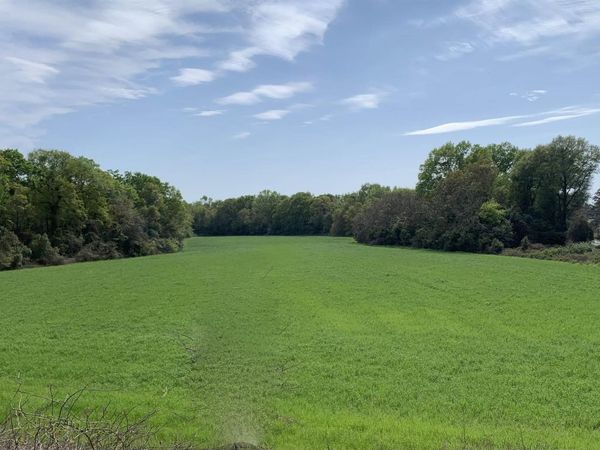 Moseley Road, Byron, GA 31008