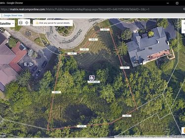 1733 N Morningside Way Drive, Bloomfield Hills, MI 48302