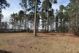 237 Shadow Dale Drive photo 4