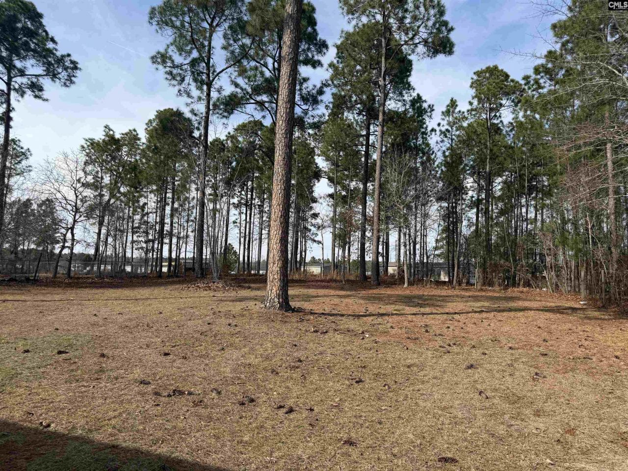 237 Shadow Dale Drive Photo 4