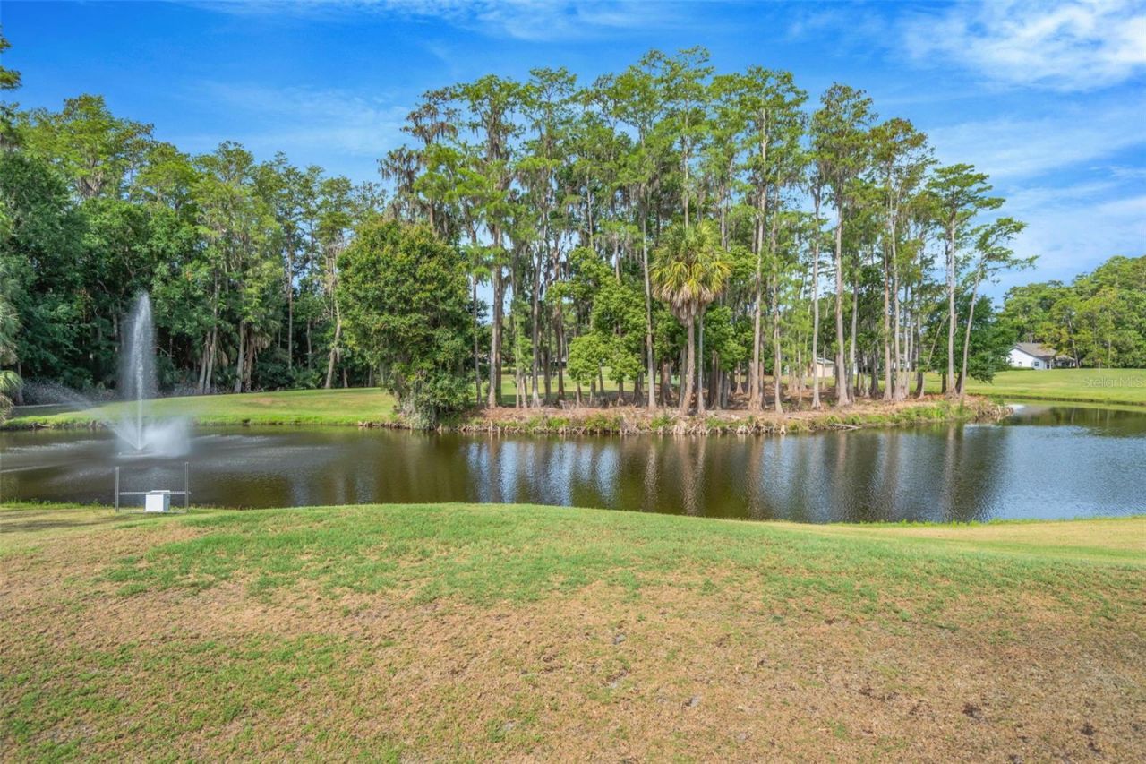9617 Brassie Court, New Port Richey, FL 34655 Photo