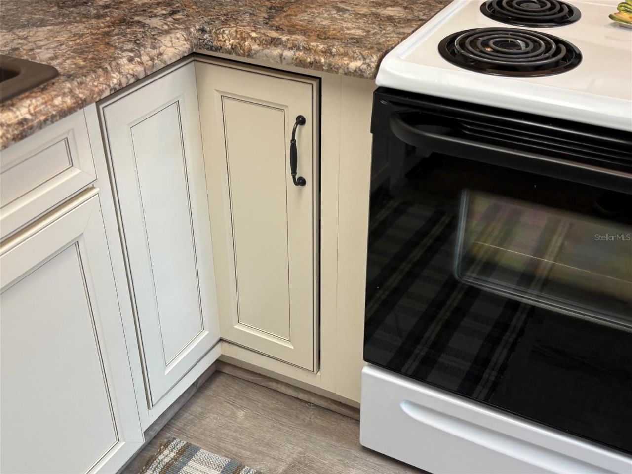 9617 Brassie Court, New Port Richey, FL 34655 Photo