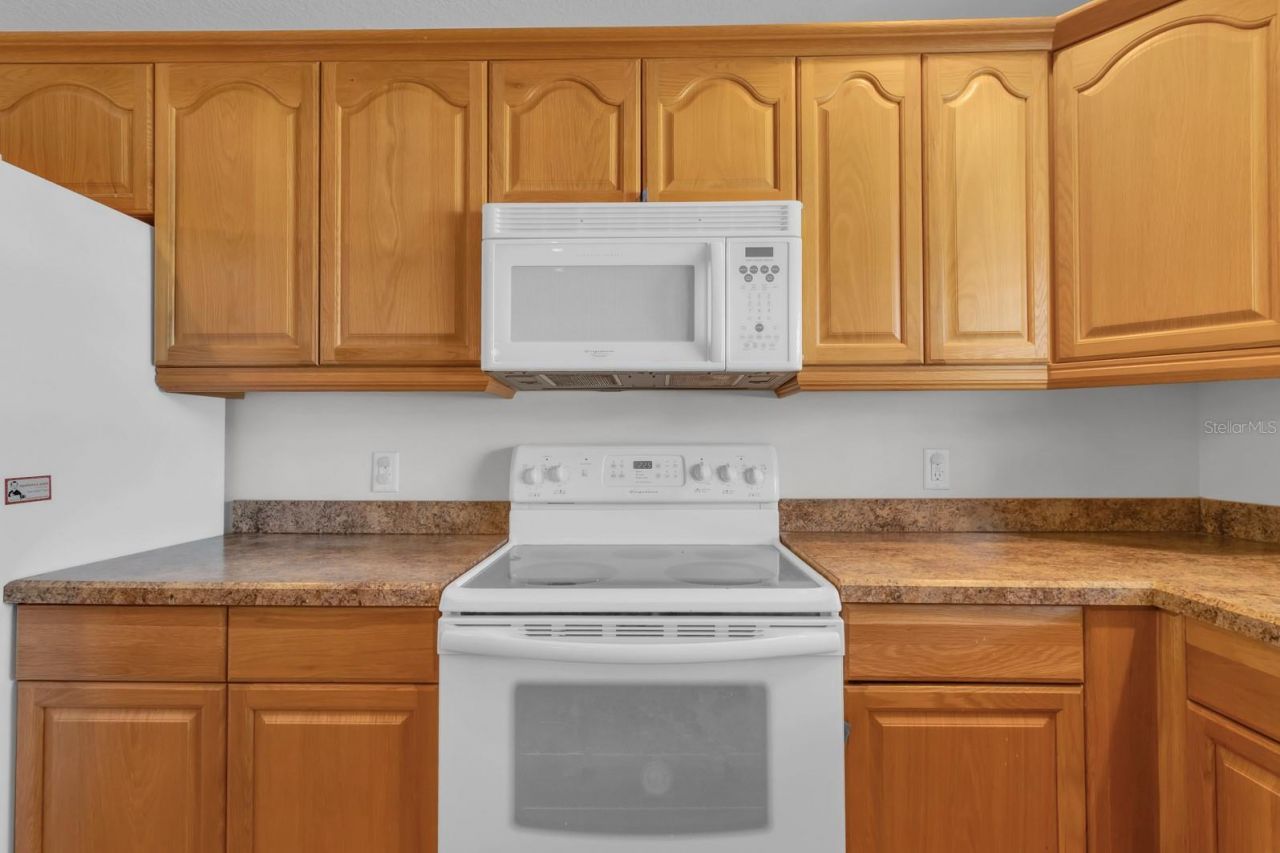 1141 Meadow Spring Court , Kissimmee, FL 34744 Photo