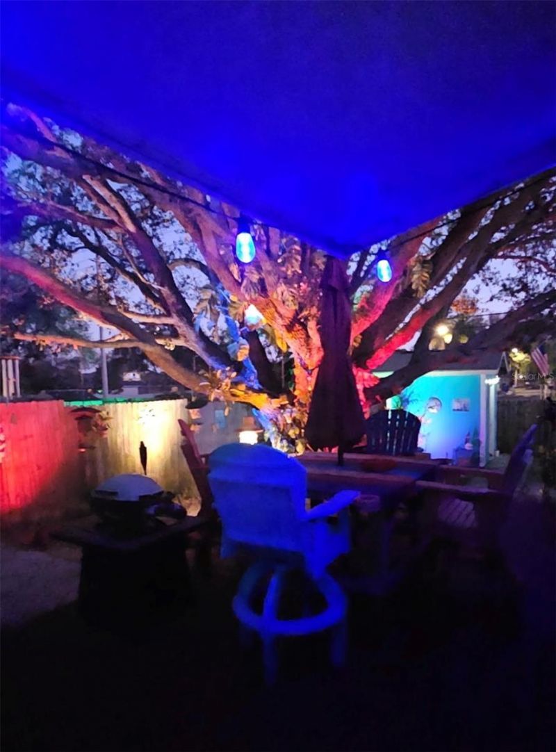 1111 Idlebriar Way , Tarpon Springs, FL 34689 Photo