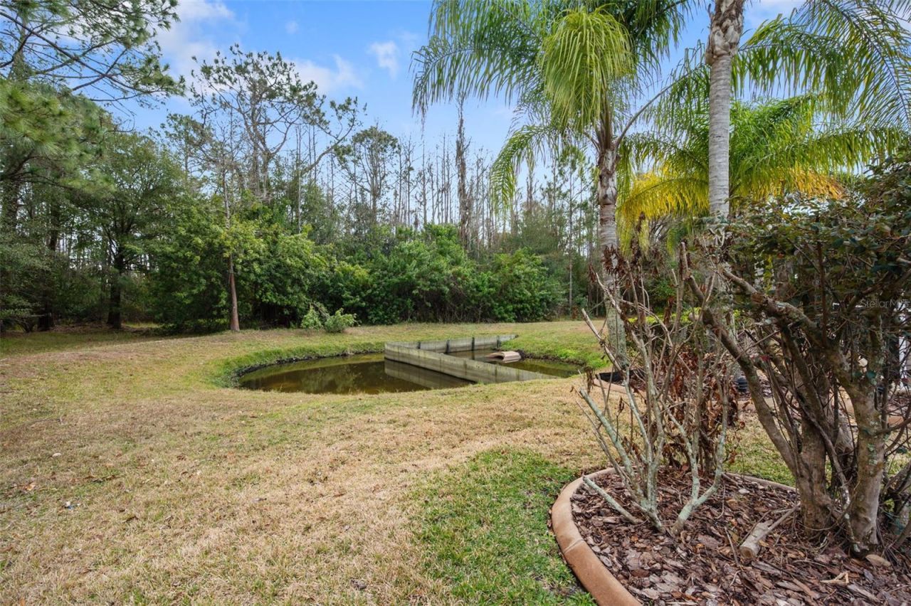 1450 Warrington Way, Trinity, FL 34655 Photo