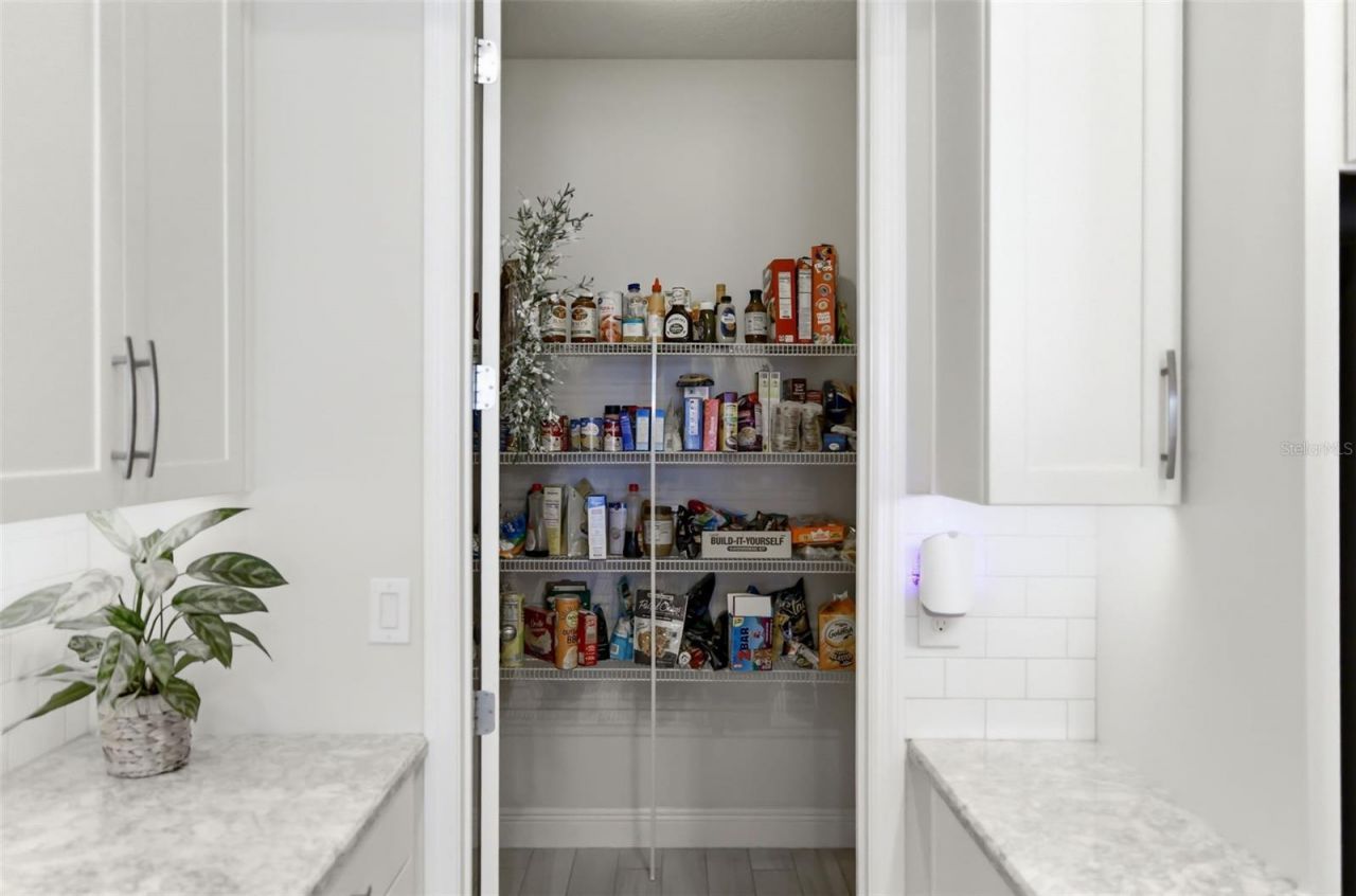 11903 Greenchop Place , Riverview, FL 33579 Photo