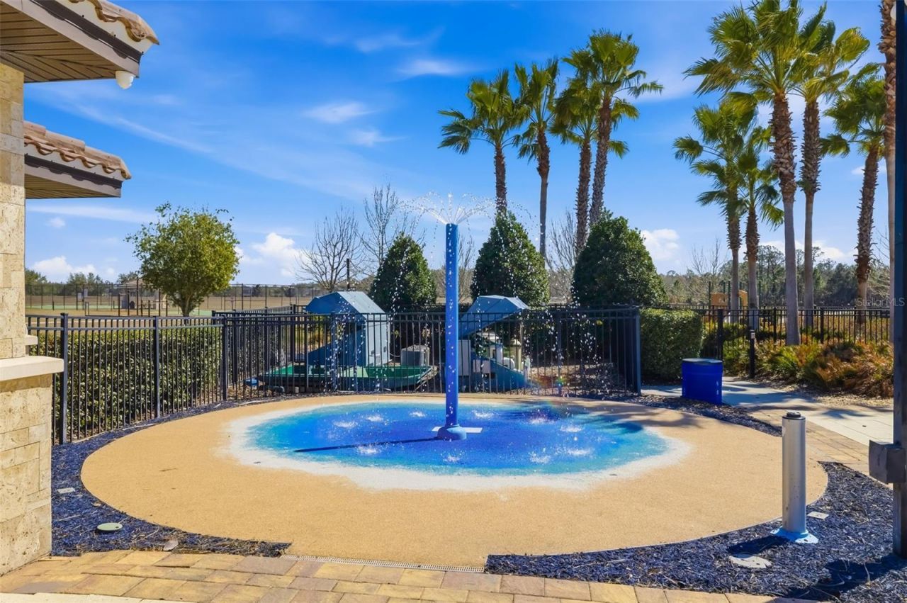 11903 Greenchop Place , Riverview, FL 33579 Photo